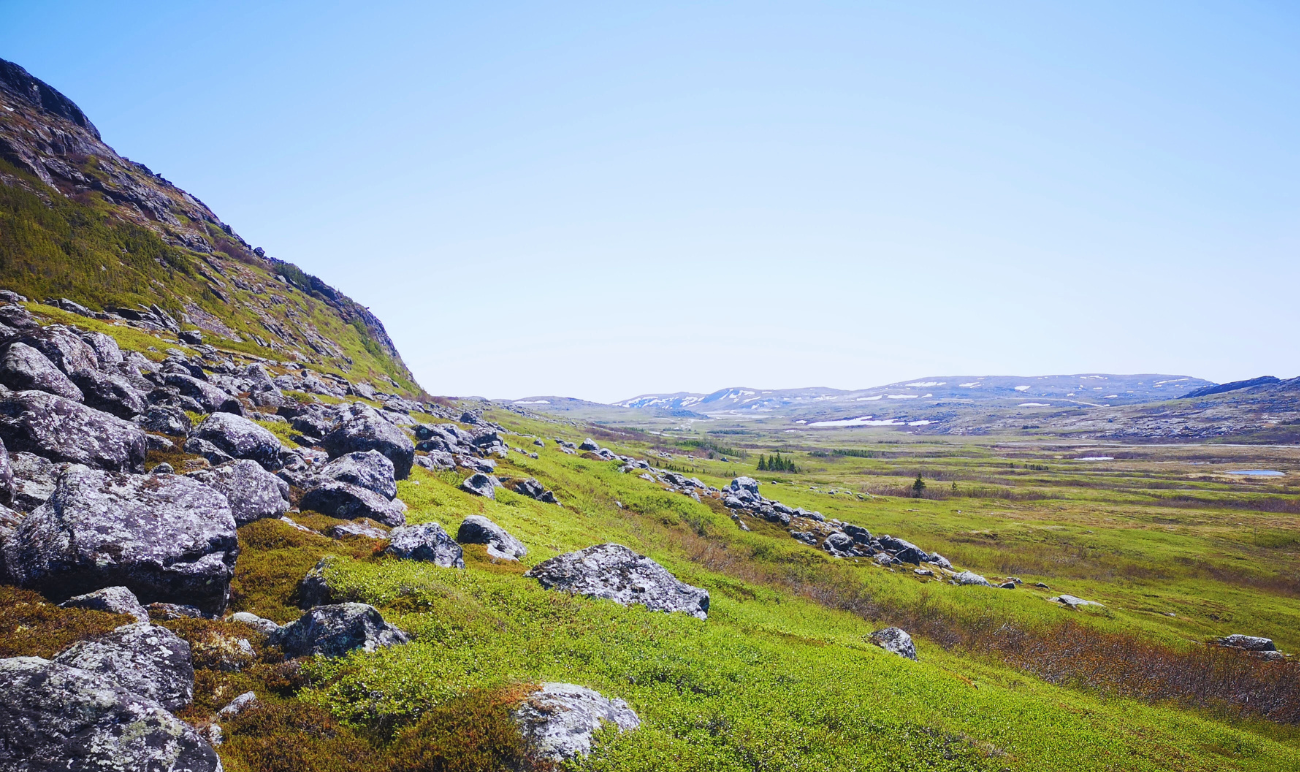 paysage nordique par Rachel Husherr