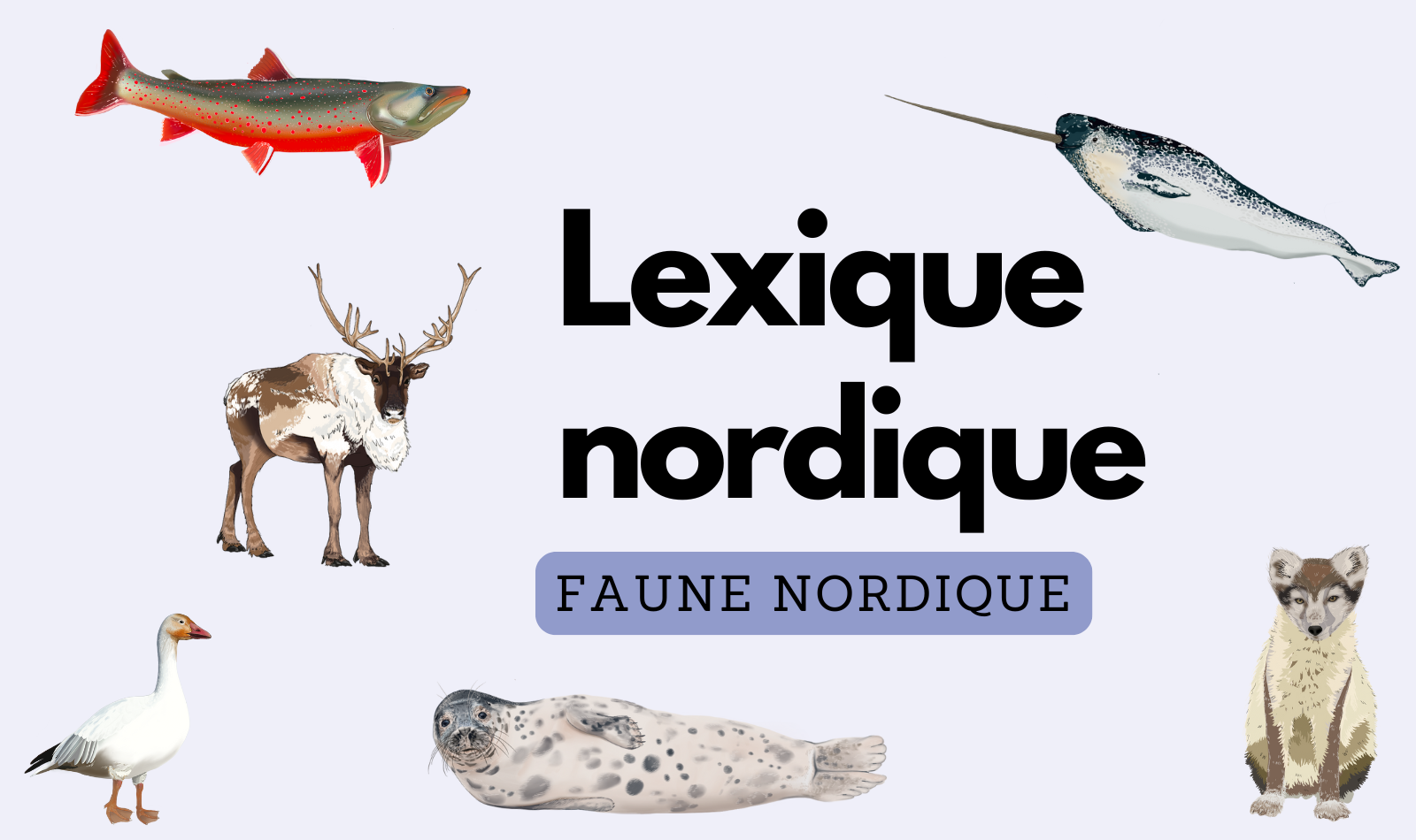 Lexique nordique | Faune nordique