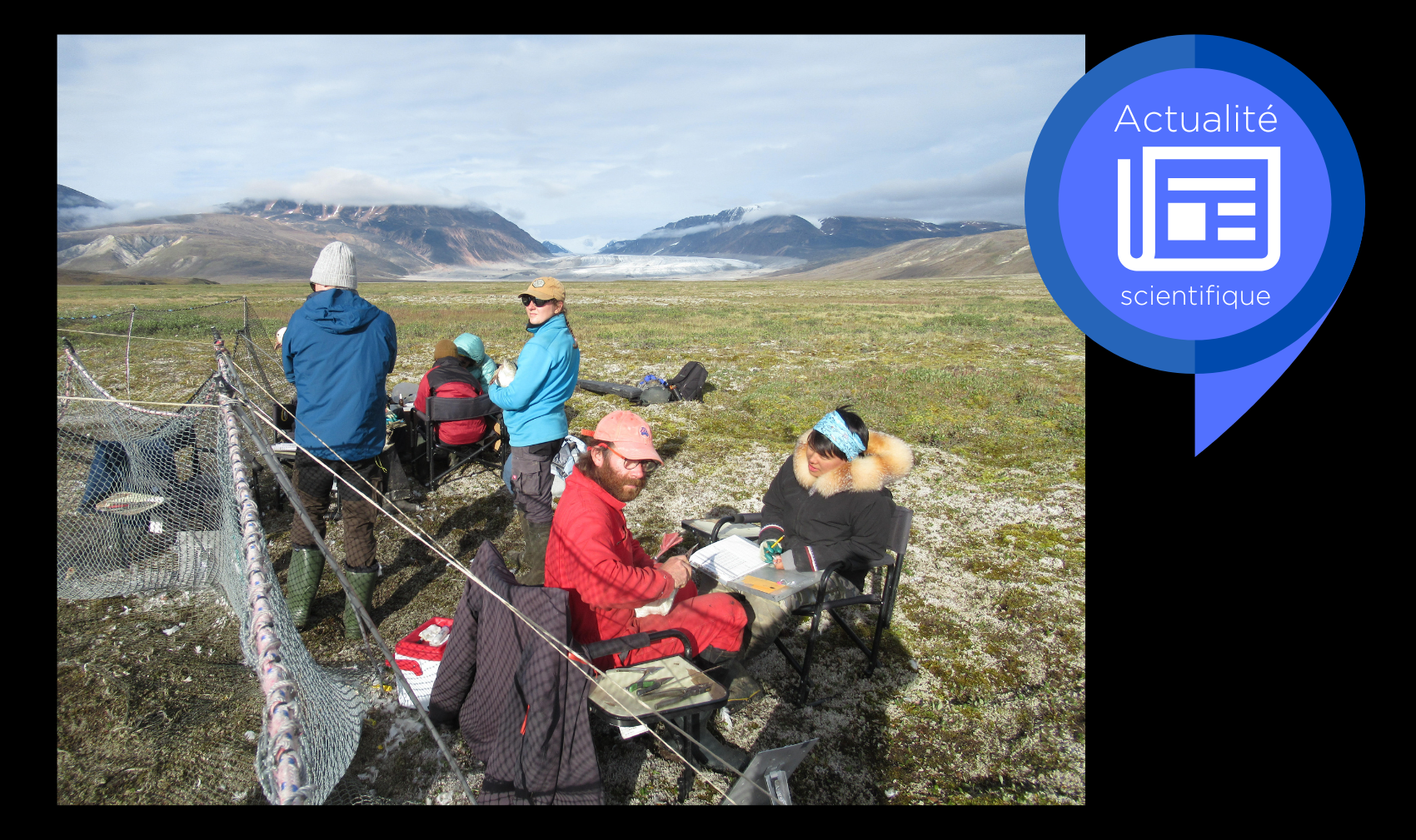 Les oies, de l’Île-aux-Oies à l’île Bylot