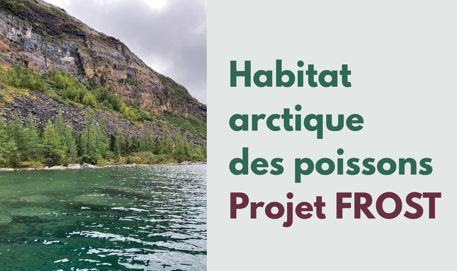 Deux projets de doctorat à pourvoir dans le cadre du projet FROST
