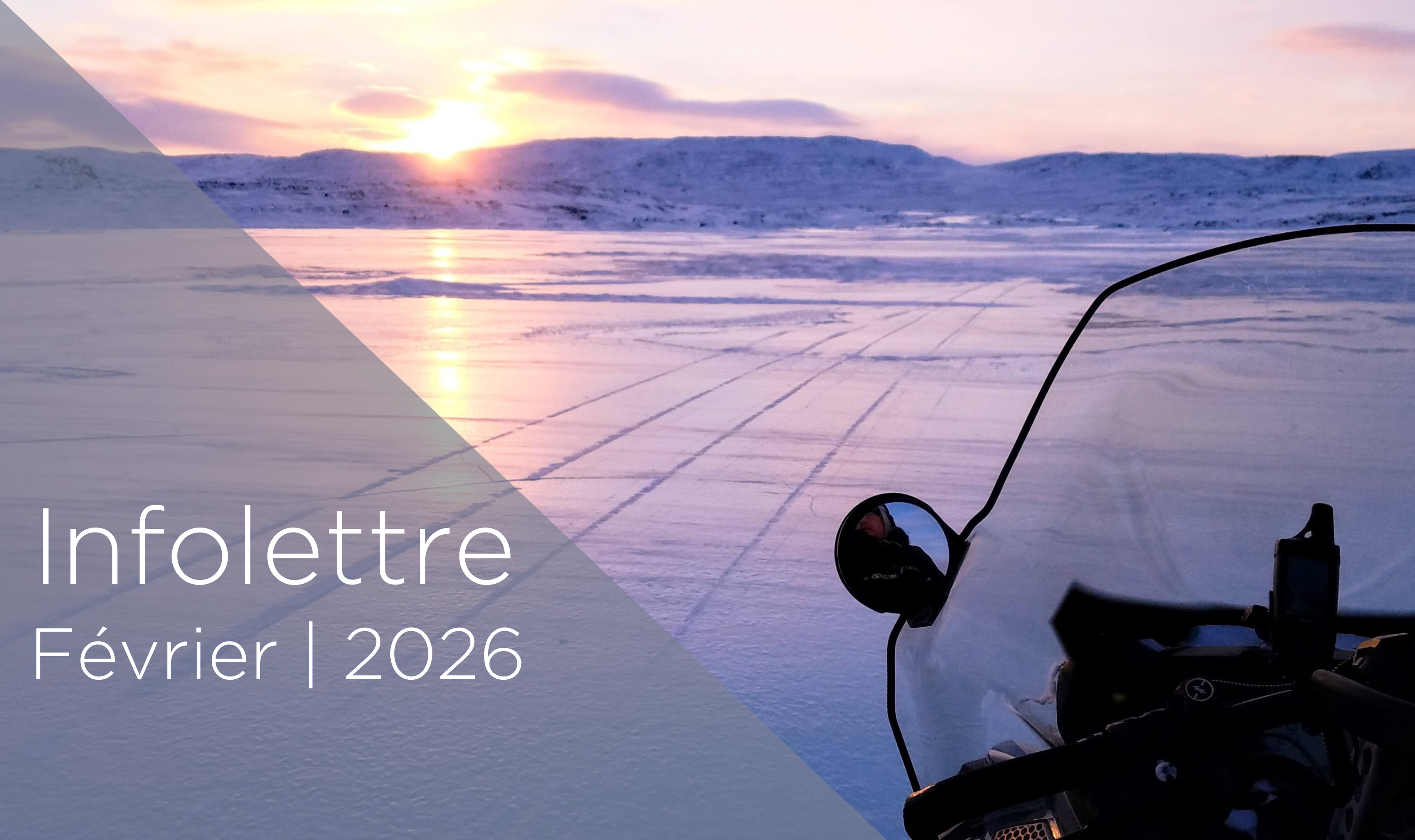 Infolettre de l'INQ | Février 2026