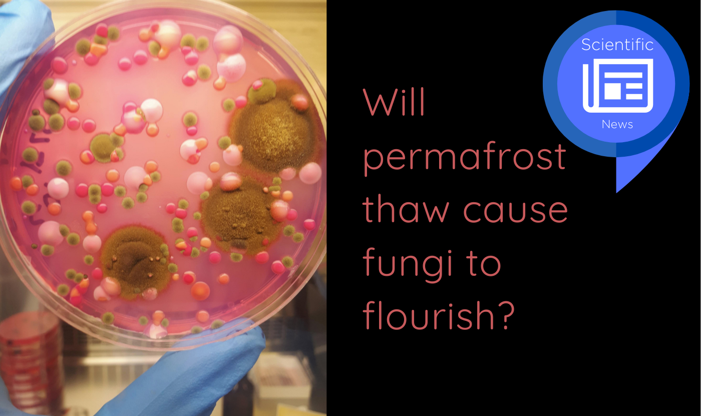 cover-scientific-news