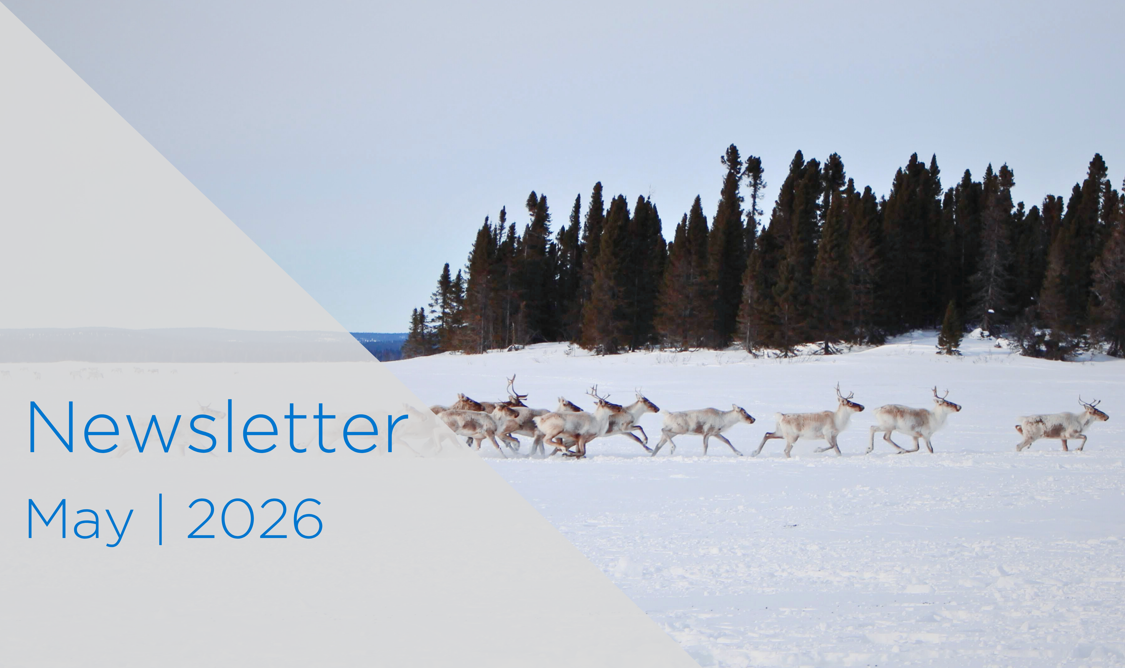newsletter