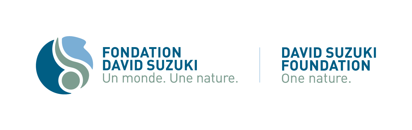 Fondation David Suzuki